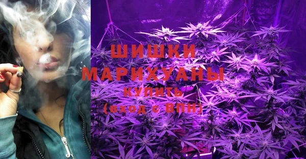 винт Магас